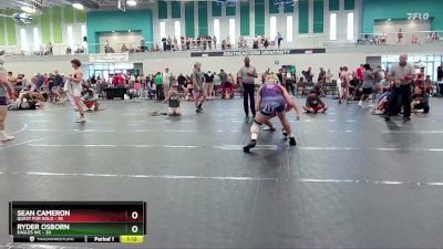 165 lbs Round 3 (4 Team) - Sean Cameron, Quest For Gold vs Ryder Osborn, Eagles WC