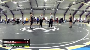 141 lbs Cons. Round 3 - Phoenix Alyea, Virginia Military Institute vs Prestyn Parks, Ohio University