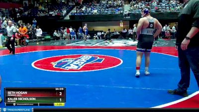 3A-215 lbs Semifinal - Kaleb Nicholson, Pickens vs Seth Hogan, Monroe Area