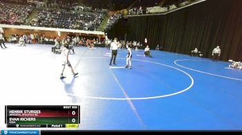 77 lbs Cons. Round 3 - Henrik Sturges, Immortal Athletics WC vs Evan Richers, Iowa