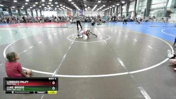 52 lbs Rd# 2 10:30am Friday - Lorenzo Palfy, Team Ohio vs Luke Briggs, Maryland GOLD