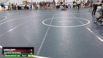 167 lbs Cons. Round 4 - Gabino Perez, Beat The Streets vs Dmarion Erlenveck, Clio