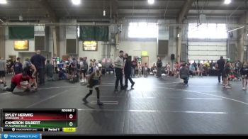 52 lbs Round 2 (6 Team) - Cameron Gilbert, PA Alliance Blue vs Ryley Herwig, Warhawks