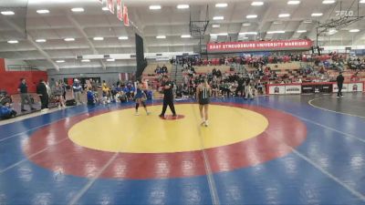 124 lbs Round 5 (12 Team) - Gianna Bonaccorso, Felician vs Linda Holeman, Western New England