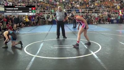 147 lbs Round 4 - Hannah Barr, Carrollton vs Isabella Williams, Unaffiliated
