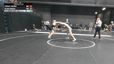 184 lbs Cons. Round 2 - Blake Mingle, York (Neb.) vs Conall Liburdi, Hastings (Neb.)