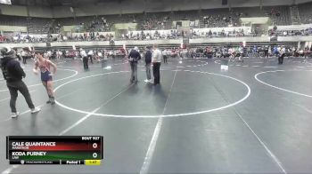 112 lbs Quarterfinal - Cale Quaintance, Marathon vs Koda Purney, LAW