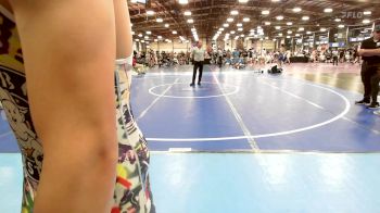 126 lbs Rr Rnd 3 - Ty Biggart, MI Bad Boys Black vs Peter Sarouch, Central Maryland Wrestling