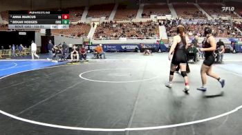 132-D1 Cons. Round 3 - Anna Marcus, Hamilton High School vs Bekah Hodges, Campo Verde High School