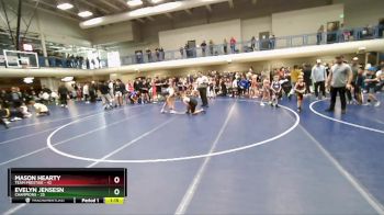 110 lbs Semis & 3rd Wb (16 Team) - Mason Hearty, Team Prestige vs Evelyn Jensesn, Champions