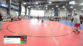 80 lbs Rr Rnd 2 - Gino Hayes, Upstate Uprising White vs Adam Hagenbuch, NC National Team