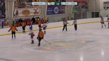 Replay: Home - 2024 CHI Crush vs Ducks | Oct 29 @ 6 PM