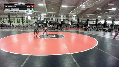 138 lbs Consi Of 4 - Dylan Walsh, Palm Wrestling Academy vs Xavier Goldberg, Rock Ridge High School