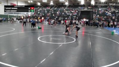 138 lbs Cons. Round 3 - Wyatt Shires, Southwest Valley vs Liam Amendt, Sedgwick County