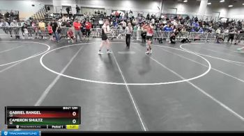 160 lbs Champ. Round 2 - Gabriel Rangel, CO vs Cameron Shultz, NE