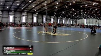 106 lbs Round 4 - Chloe Skiles, King Select Wrestling Academy vs Ameliah Serio, Rough Riders