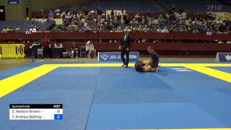 Corey Neilson Brown vs Todd Andrew Walling 2024 Pan IBJJF Jiu-Jitsu No-Gi Championship