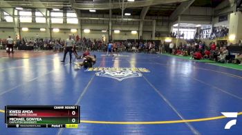 133 lbs Champ. Round 1 - Kwesi Amoa, Rhode Island College vs Michael Gonyea, Castleton University