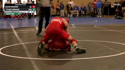 133 lbs Rd Of 32 - Calvin Werden, Northern Illinois vs Tyler Ferrara, Cornell