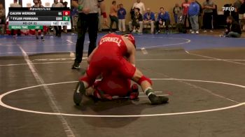 133 lbs Rd Of 32 - Calvin Werden, Northern Illinois vs Tyler Ferrara, Cornell