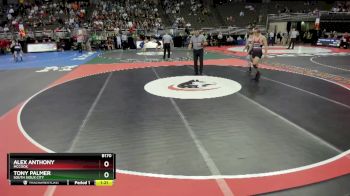 Quarterfinal - Alex Anthony, McCook vs Tony Palmer, South Sioux City