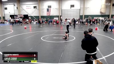 49 lbs Champ. Round 1 - Kamdyn Wentz, FoxFit vs Caylix Casias, Pikes Peak Warriors