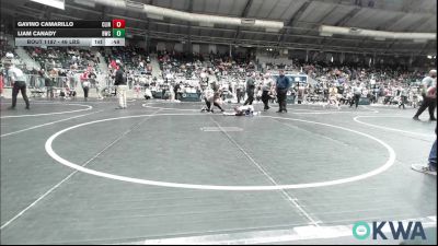 46 lbs Quarterfinal - Gavino Camarillo, Clinton Youth Wrestling vs Liam Canady, Berryhill Wrestling Club