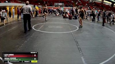 100 lbs Round 5 (8 Team) - Noah Hagge, CP Wrestling Academy vs Levi Hibbs, DWA