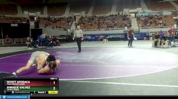 D2-165 lbs Quarterfinal - Enrique Galvez, Campo Verde vs Wyatt Apodaca, Casa Grande Union