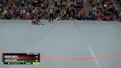 65 lbs Quarterfinal - Mason Leech, Immortal Athletics WC vs Owen Glenz, ANML (Annandale/Maple Lake)