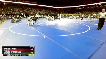 175 Class 1 lbs Quarterfinal - Carter Harms, Maysville vs Jagger Sportsman, Marceline