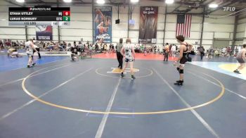 138 lbs Rr Rnd 3 - Benjamin White, Mayo Quanchi Gold vs Aidan Mariano, D3 Training Center
