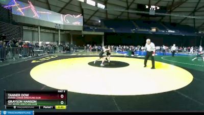 97 lbs Quarterfinal - Tanner Dow, Rainier Junior Wrestling Club vs Grayson Hanson, Mat Demon Wrestling Club