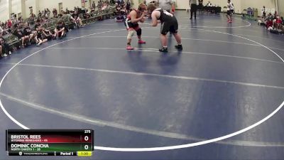 275 lbs Round 3 (6 Team) - Dominic Concha, North Dakota 1 vs Bristol Rees, Wyoming Renegades