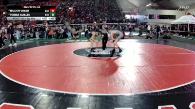 6A 106 lbs Quarterfinal - Tobias Guillen, Meridian vs Rigdon Green, Madison