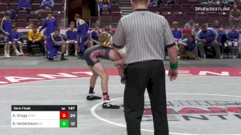 113 lbs Semifinal - Aiden Grogg, Saucon Valley vs Brock Holderbaum, Chestnut Ridge