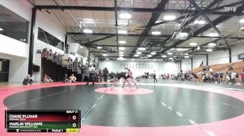 149 lbs Champ. Round 1 - Chase Pluhar, Indiana Tech vs Marlin Williams, Marian University (IN)