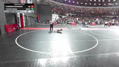 54 lbs Quarterfinal - Jaxton Moua, Brown Deer Jr Falcons Wrestling Club vs Cameron Novinskie, IGH/ RT Elite