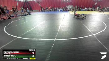 106 lbs Round 2 (16 Team) - Treynor Curtin, Reedsburg vs Wyatt Wald, Cambridge-Isanti