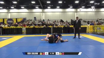 Jonathon Matney Brown vs Reid F. Sullivan 2024 World IBJJF Jiu-Jitsu No-Gi Championship