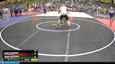 222 lbs Semis (4 Team) - Lake Mulberry, Philomath vs Omar Martinez, North Marion