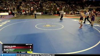 Quarterfinal - Blake Devitt, Hitchcock County vs Tristan Olson, Anselmo-Merna