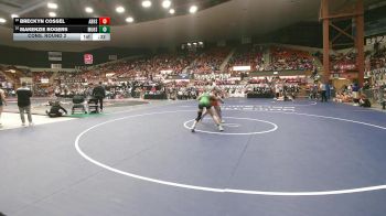 145 lbs Cons. Round 2 - Breckyn Cossel, Abilene HS vs Makenzie Rogers, Mulvane HS