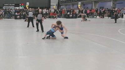 113 lbs Champ. Rd Of 128 - Garrett Williams, Pinnacle Wrestling School vs Lincoln Pochinski, Sebolt Wrestling Academy