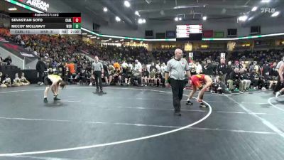 144 lbs Quarterfinal - Sevastian Soto, Carlisle vs Mccoy Mcllravy, Waverly-Shell Rock