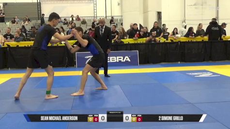 2 Simone Grillo vs Sean Michael Anderson 2025 World IBJJF Jiu-Jitsu No-Gi Championship