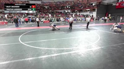 110 lbs Cons. Round 4 - Riley Brahmer, Glenwood City vs Tristian Andrews, Monona Grove/McFarland Wrestling Club