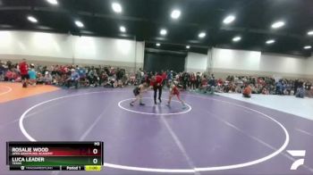 60-61 lbs Round 1 - Luca Leader, Texas vs Rosalie Wood, Apex Grappling Academy