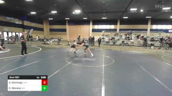 101 lbs Consi Of 8 #1 - Alyse Domingo, Castro Valley WC vs Carolina Moreno, Norwalk HS