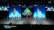 The Dance Vault - Mini Elite Large Variety [2025 Mini - Variety Finals] 2025 The Dance Summit
